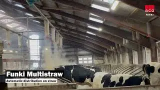 Straw allocation system for cattle