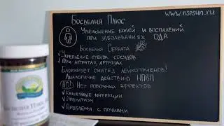 Босвелия Плюс НСП - противовоспалительное средство