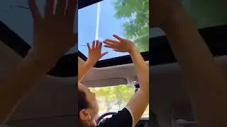 Order Link in Comments ▶️  Safety Hammer Emergency Life-Saving Tool