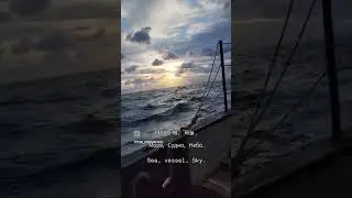 Созерцание моря, Real sea gazing, 바다멍