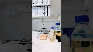 Inside My Fascinating Laboratory: A Scientist's Journey. #ScienceInAction#LabLife#ScientistAtWork
