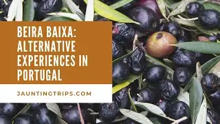 Jaunting Trips in Beira Baixa: Alternative Experiences in Portugal