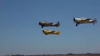 Avalon Airshow 2019 Trailer