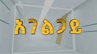 አገልጋይ | የአዲስ አበባ ገቢዎች ቢሮ አልግሎት አሰጣጥ