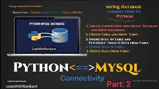 P2 Python Database Connectivity Using MySQL | Create Database Using Python and MySQL #python #mysql