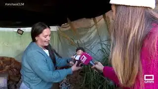 Visitamos el famoso bel&eacute;n de mu&ntilde;ecos de Santa Cruz de la Zarza