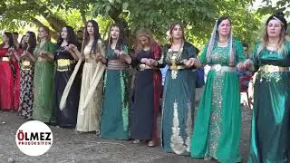 Ramazan & Semra düğünü sepe Andaç köyü Şiyar Berwari