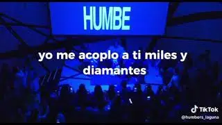 HARRY STAMPER - HUMBE | DDC