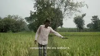 Mati Carbon - Farmer Impact