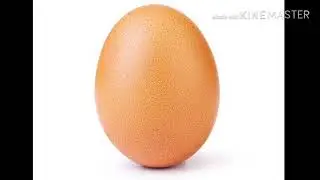 5 seconds of this egg