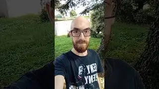Hollow Knight: Silksong | Adesso parlo io!