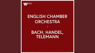 Concerto for Two Violins in D Minor, BWV 1043: III. Allegro