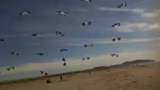 Rev Kite Mega-Grid World Record - WSIKF 2010