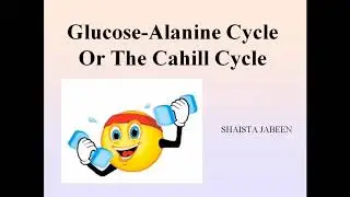 Glucose-Alanine Cycle/ The Cahill Cycle | Protein Metabolism | Medical Biochemistry Lectures