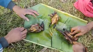 Bird Hunt at Jungle and Eat | Birds Recipe eating Delicious | Forest bird hunting