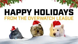 Happy Holidays from the Overwatch League 💖✨