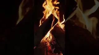 Virtual bonfire with crackling fire sound #Bonfire #campfire #shorts #relaxing