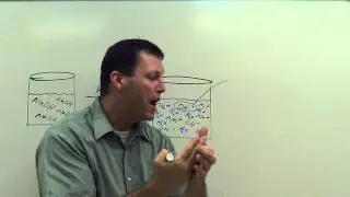 Acids & Bases