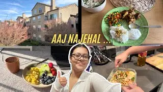সব একসাথে সামলাতে গিয়ে আজ নাজেহাল অবস্থা | Bay Area Bengali #bengalivlog