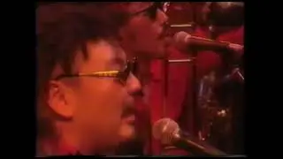 BIG HORNS BEE 「SUPER TEA」
