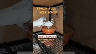 HEAVY-DUTY AND SUPER VENTILATED PIGEON NEST BOWL. PIGEON FUEL BRAND
