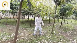 🆕benefits Of Commencing The Tai Chi Forms 🏼👉 Tai Chi Lesson Popular Video