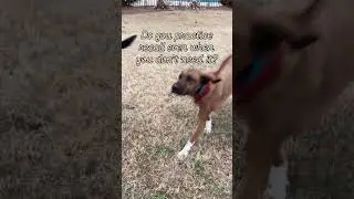 Вы тренируете запоминание, даже когда это не нужно?