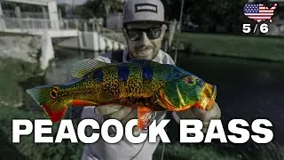 Fishing for the world's most beautiful freshwater fish - USA Series 5/6