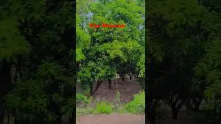)Travel vlog (city tour, adventure, food?)Romantic scene (film style ya real-life moment?)Funny/yt 😊