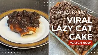 Viral lazy Cat Krunchoco cake recipe BY Ahmed al zamel | Faheems Cuisines