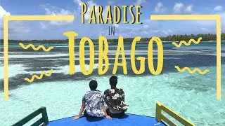 PARADISE in TOBAGO {4K} (Nylon Pool, Pigeon Point, Englishman's Bay, Bloody Bay and more) Vlog #44