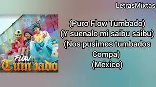 Picus - Flow Tumbado - Letra Oficial