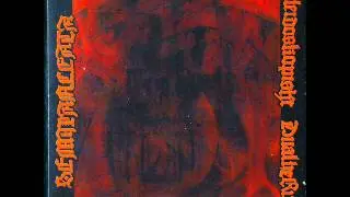 Semilanceata - Domning