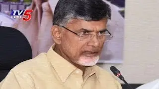 CM Chandrababu Meeting With TDP MPs | AP Special Status Issue | Vijayawada | TV5 News