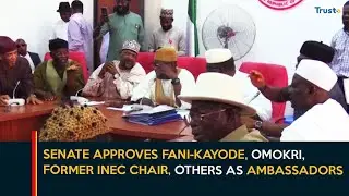 Senate Approves Fani-Kayode, Omokri, Ikpeazu, Former INEC Chair, Others as Ambassadors