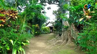 VERY CLASSIC GARDEN (House to House Garden Tour #2)