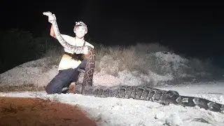 Random Captures - Python Hunting In The Florida Everglades - Ep. 7