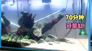 快速制作简单大气鱼缸造景，仅用78分钟，成景会让你惊艳