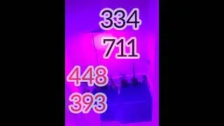 Best picks for pick 3 LOTTO | May 2022