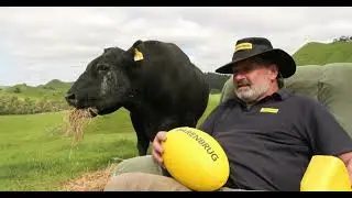 Homegrown gold Episode 4