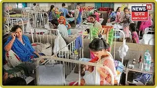 Threat Of Japanese Encephalitis Scares Assam