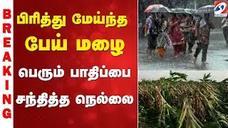 Nellai | Rain | Heavy wind | Rainstorm - Nellai suffered heavy damage