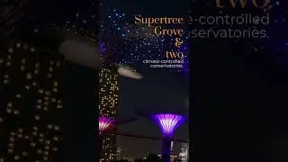 #solotravel  #singapore #touristplace #travel #trip #tips #guide #hacks #viral #shorts #ytshorts