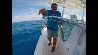 Florida keys yellowtail snapper fishing with Chris&rsquo; clear water charters !