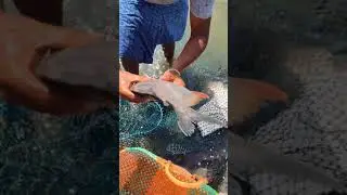 POOLAMPATTI😍 | TRAVEL KANI