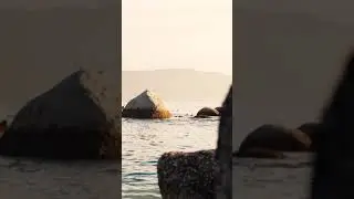 Depth Nature |Nature Whatsapp status |Beach #nature #beach #sea #seaside
