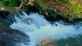 Waterfall Sounds Discover the healing power of a minimalist waterfall soundscape