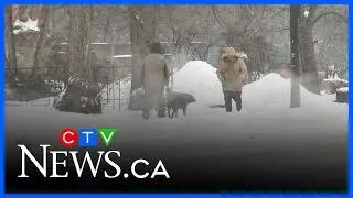 Cold, snowy day in the Maritimes