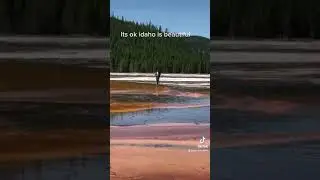 Idiot tourons walking off the boardwalk‼️‼️#TouronsOfYellowstone #YellowstoneNationalPark #Ynp