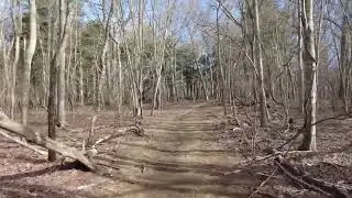 Carmans River Trail in Yaphank @Long Island NY Views
